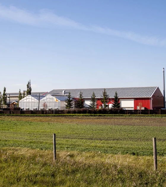 Lethbridge Seed Research Centre