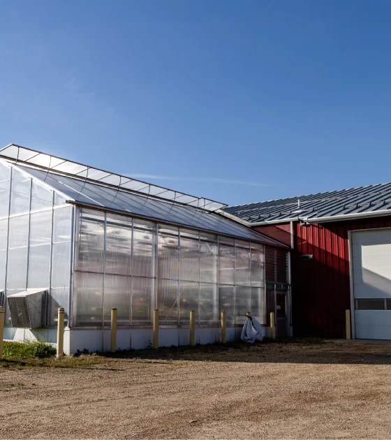 Lethbridge Seed Research Centre